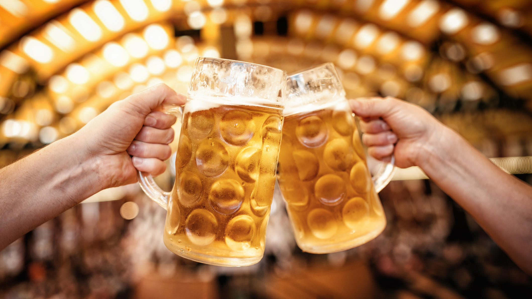 two hands clinking mass-beer glasses at oktoberfest in munich