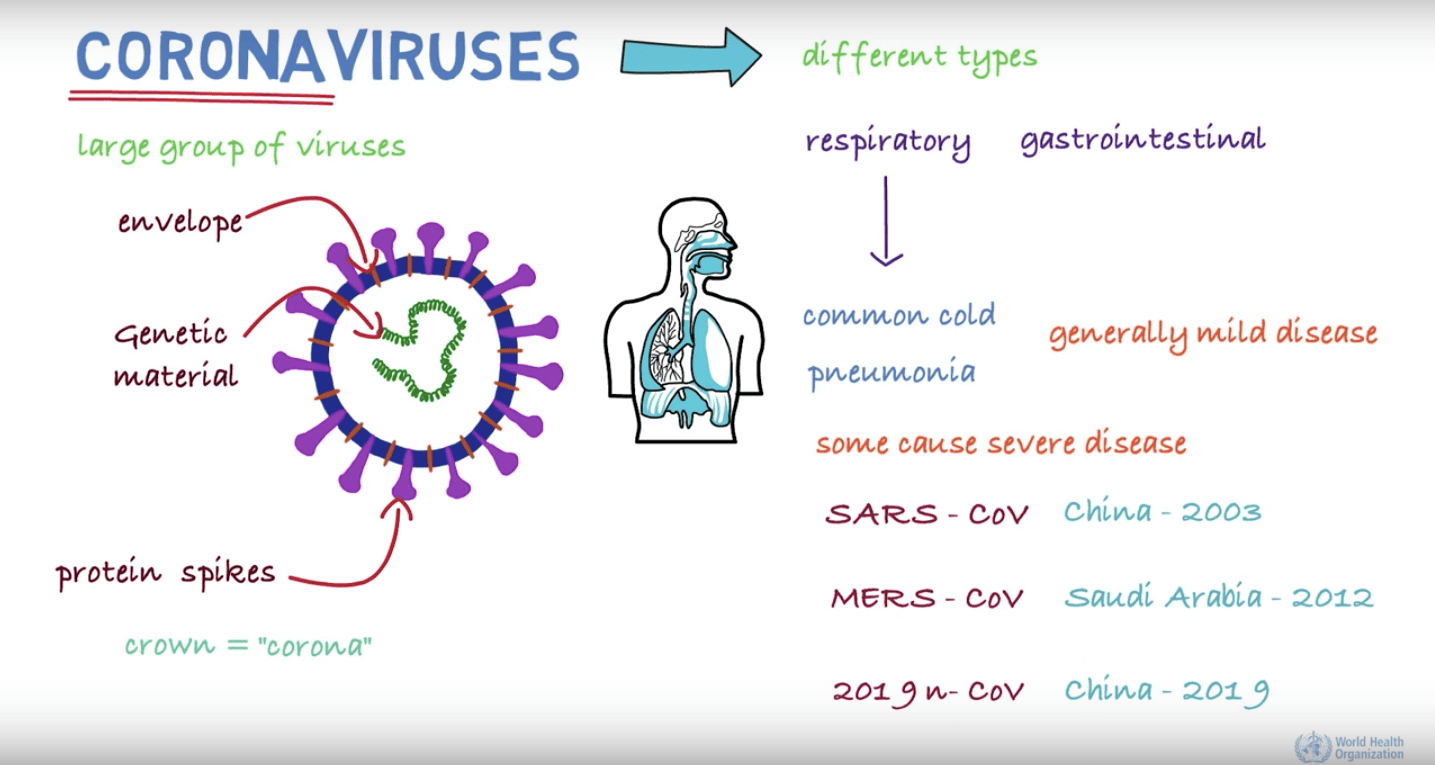 Coronavírus é uma grande família de vírus zoonóticos